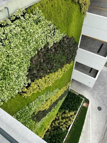 New Luxury Apartment With King - Size Bed Ceibos Гуаякіль Екстер'єр фото